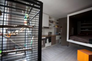 travaux de rénovation